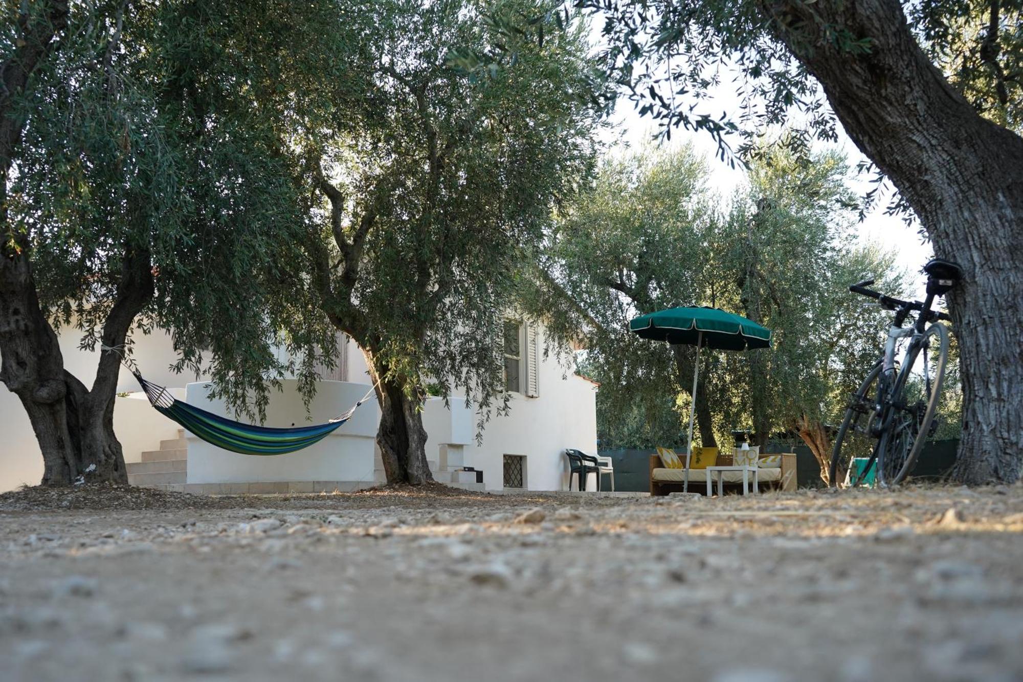 Olive&Sea Villa-Olive Mattinata Eksteriør bilde
