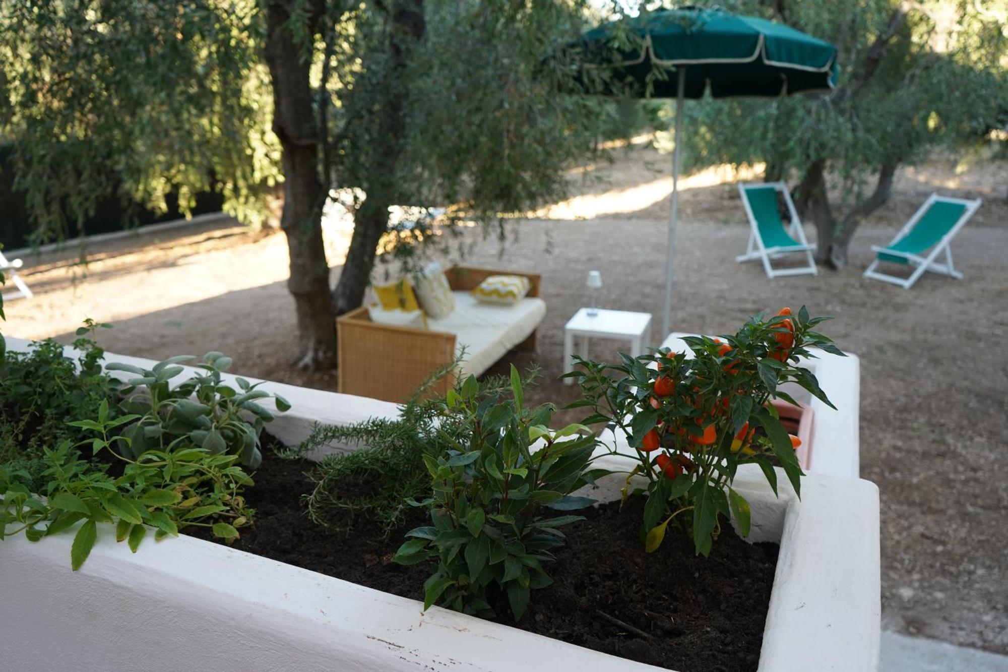 Olive&Sea Villa-Olive Mattinata Eksteriør bilde