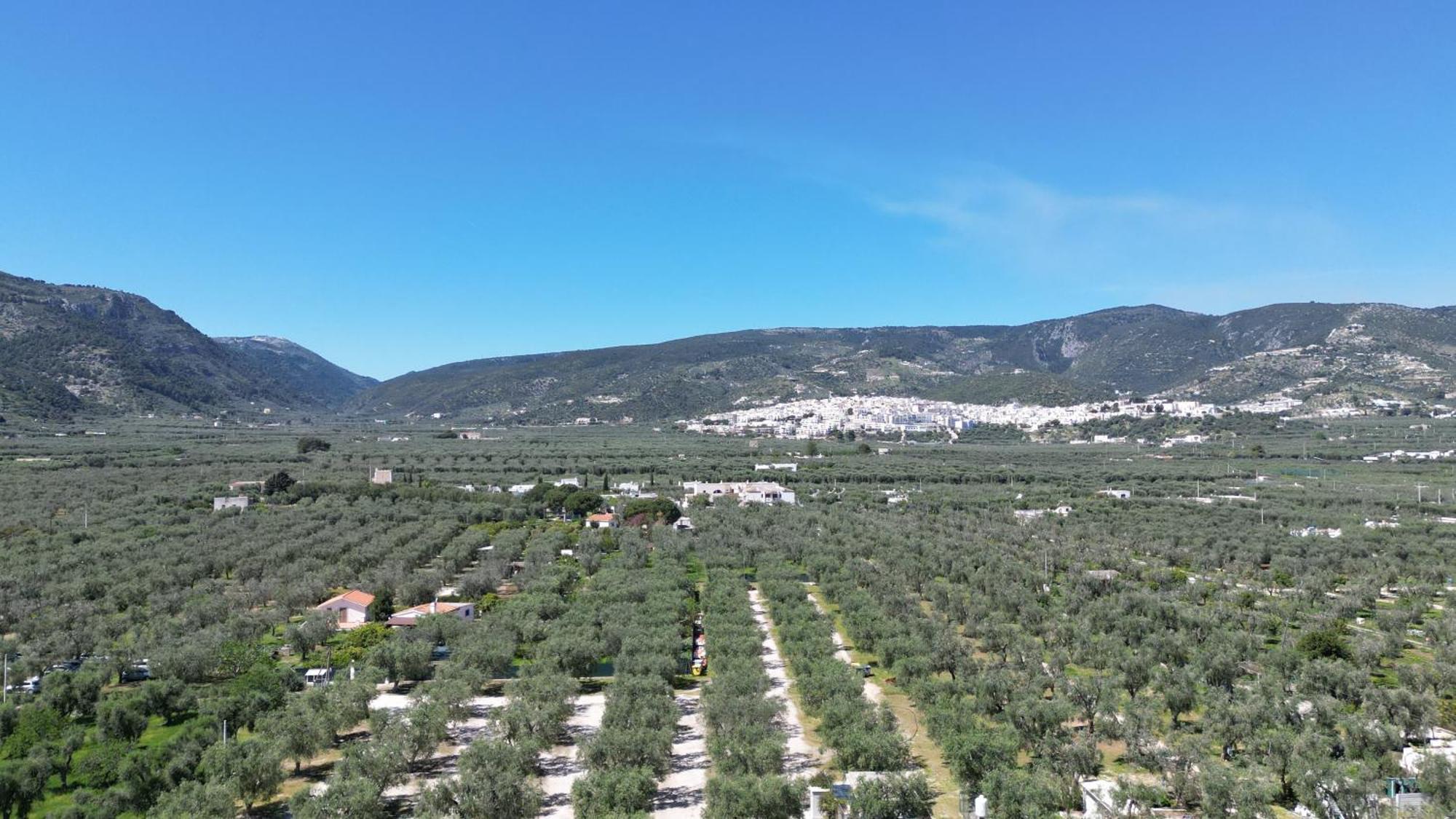 Olive&Sea Villa-Olive Mattinata Eksteriør bilde