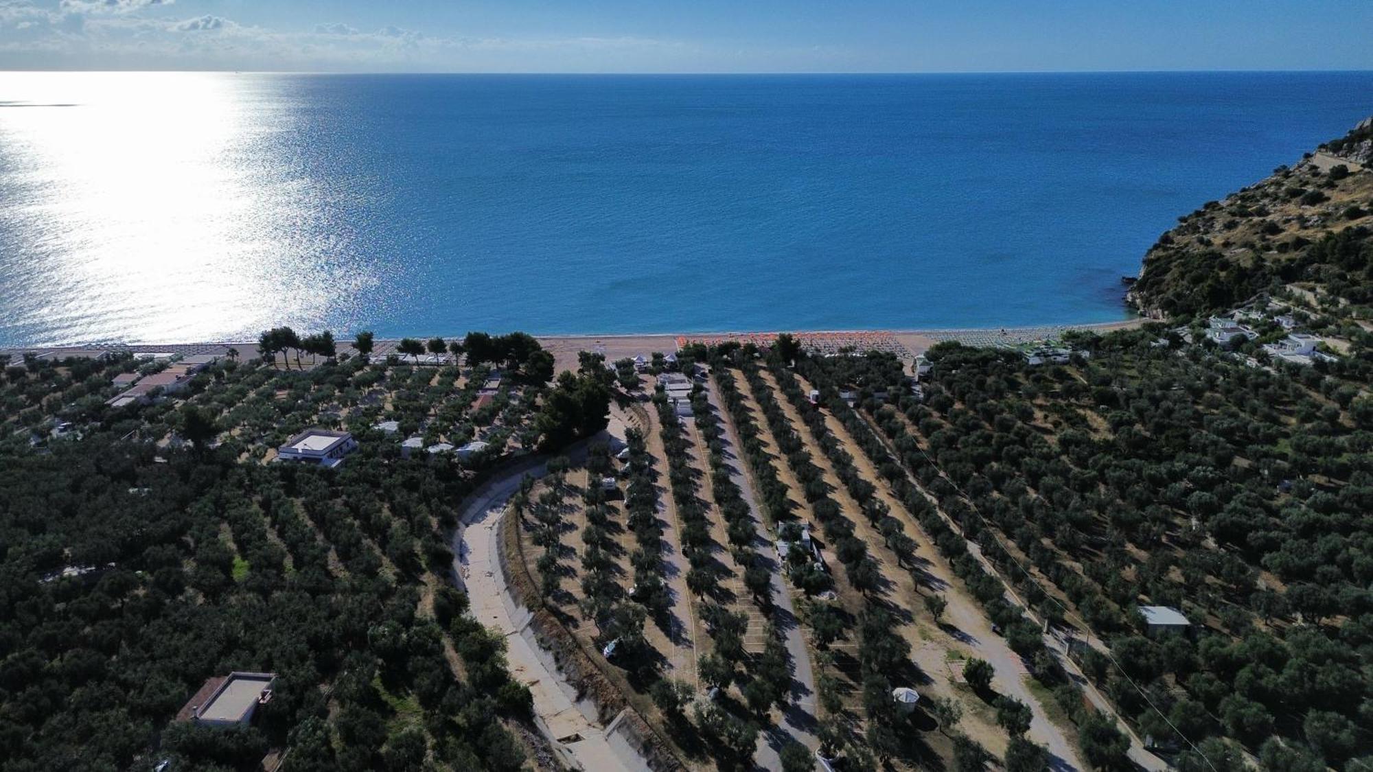 Olive&Sea Villa-Olive Mattinata Eksteriør bilde