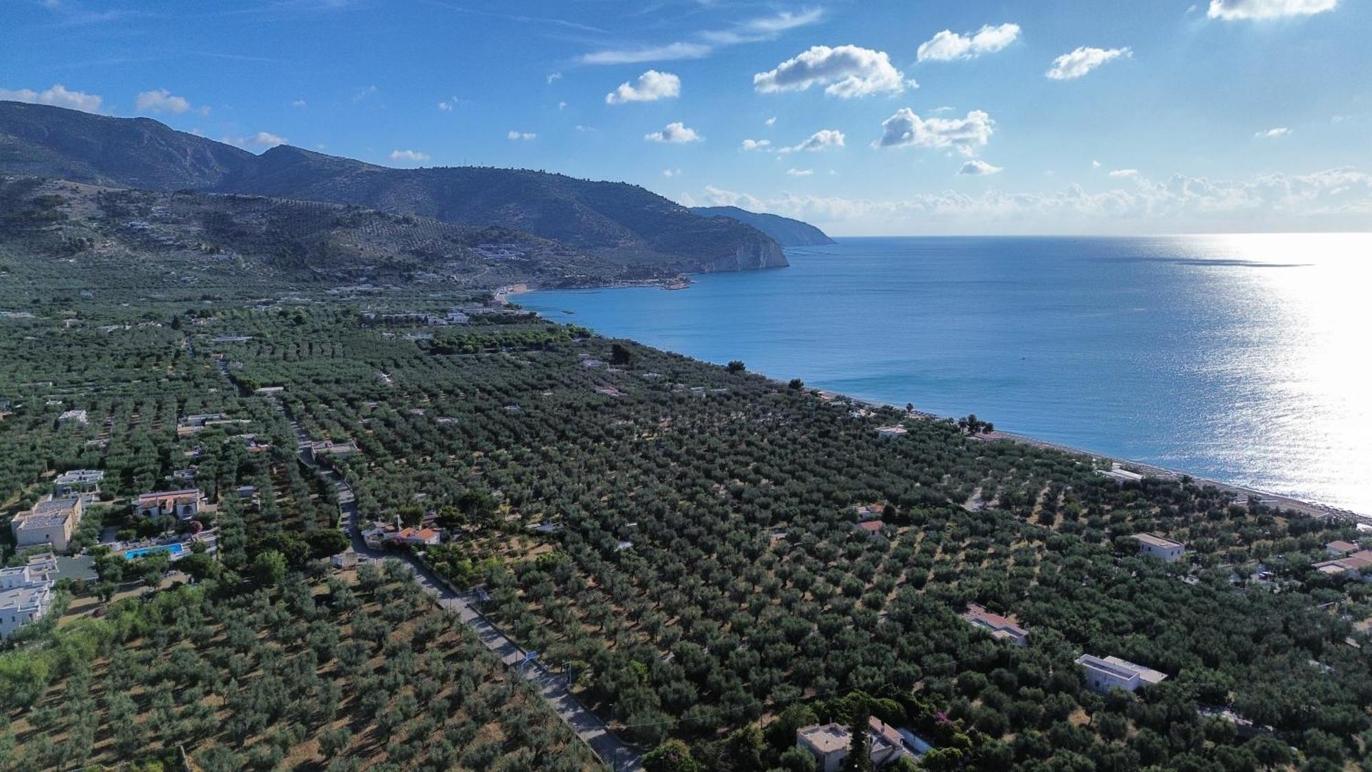 Olive&Sea Villa-Olive Mattinata Eksteriør bilde